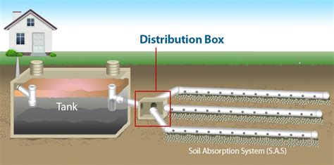 distance between septic tank and distribution box|septic system d box requirements.